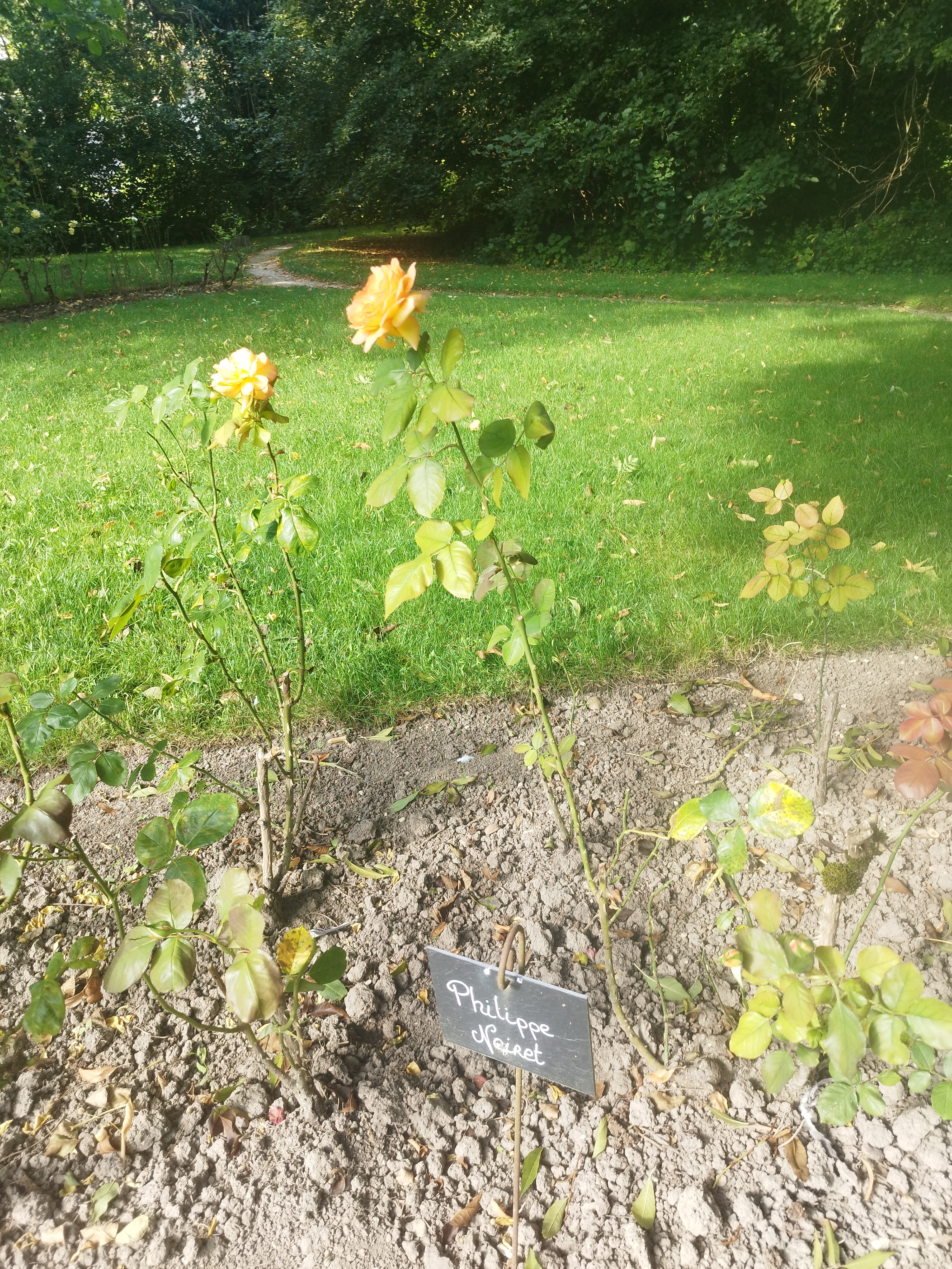 Photo n° 9 de l'avis de Jaime.a fait le 26/08/2023 à 13:51