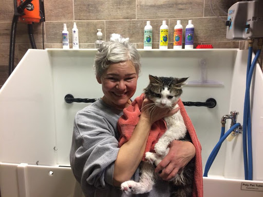 Pet Supply Store «EarthWise Pet Supply», reviews and photos, 4701 Bauer Farm Drive b, Lawrence, KS 66049, USA