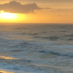 Photo n°2 de l'avis de Markus.o fait le 20/01/2023 à 16:40 sur le  Restaurant Sansibar à Sylt