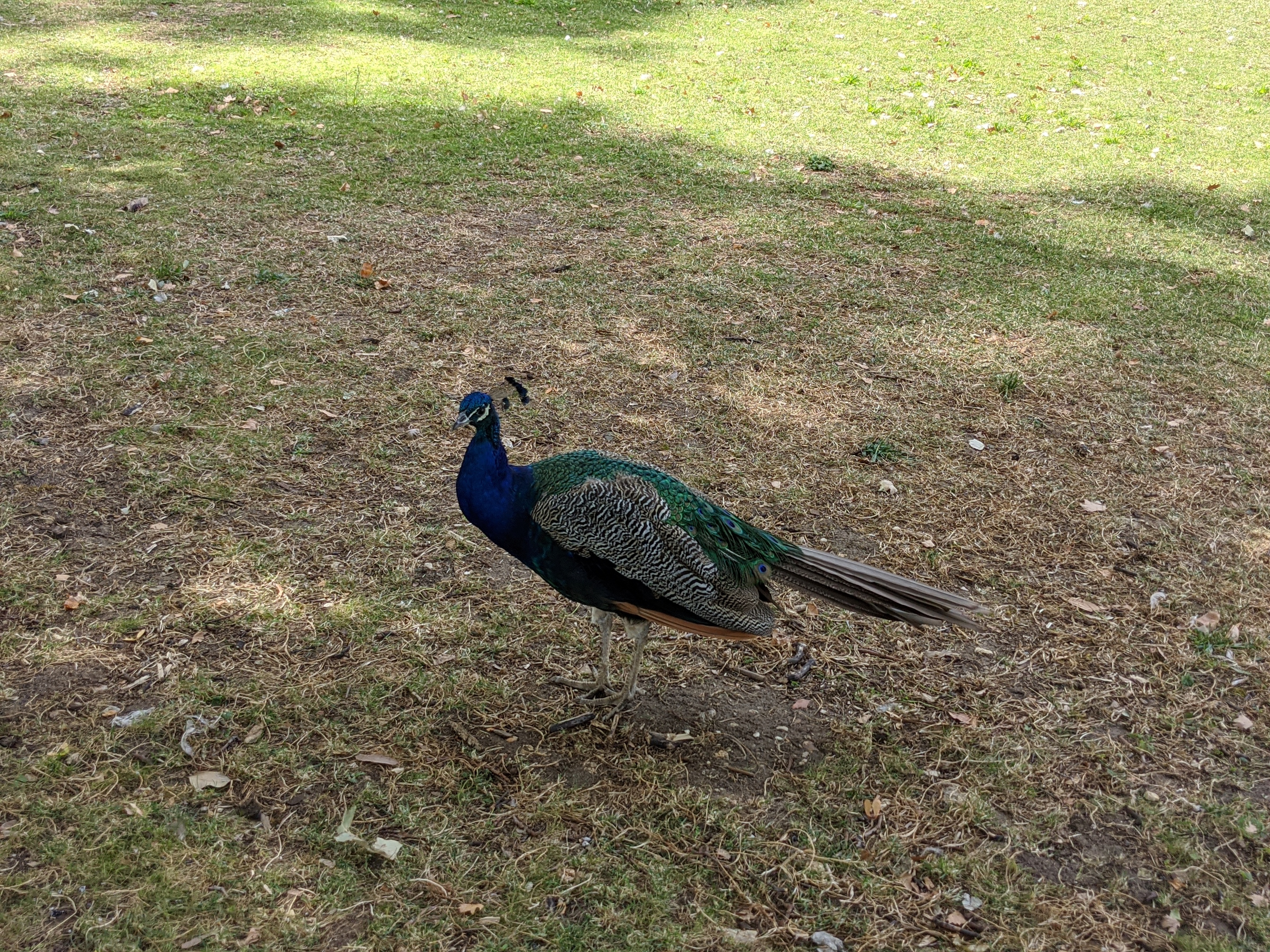 Photo n° 2 de l'avis de Ido.a fait le 02/08/2020 à 14:34