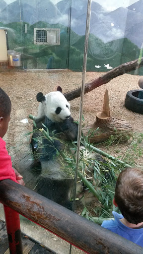 Stadium «Turner Field», reviews and photos, 755 Hank Aaron Dr SE, Atlanta, GA 30315, USA