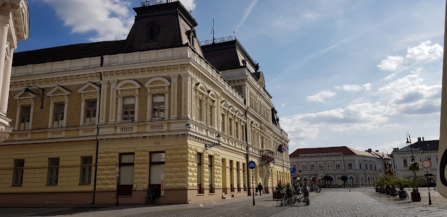 Comentarii opinii despre Bajai Polgármesteri Hivatal Közterület-felügyelet