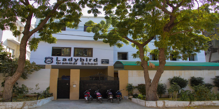 Ladybird Grammar School (Indigo)