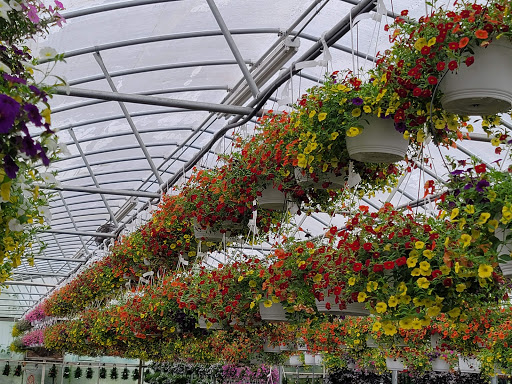 Florist «Westland Florist & Greenhouse», reviews and photos, 34235 Ford Rd, Westland, MI 48185, USA