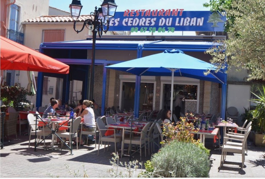 Les Cèdres du Liban à Palavas-les-Flots (Hérault 34)