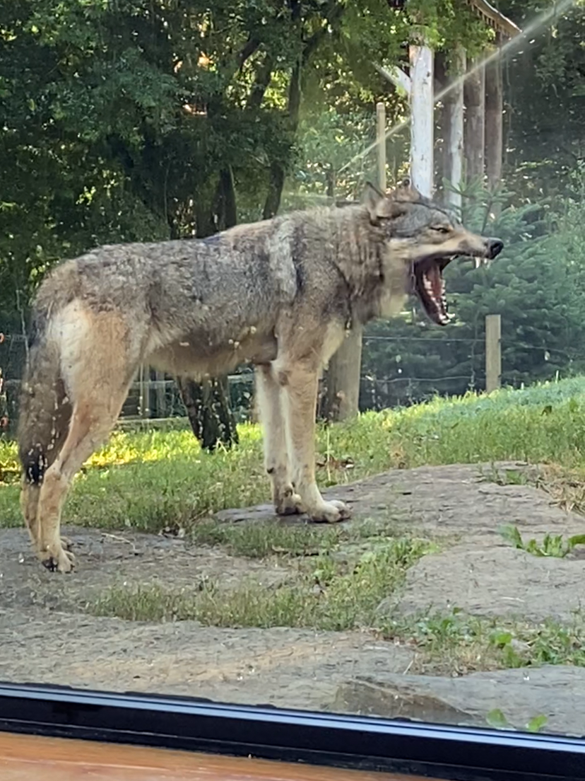 Photo n° 2 de l'avis de Thierry.u fait le 06/08/2023 à 16:24