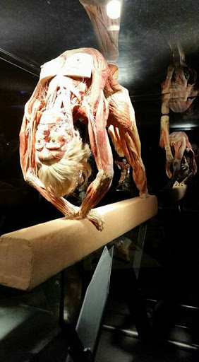 Museum «Portland Science Center», reviews and photos, 68 Commercial St, Portland, ME 04101, USA