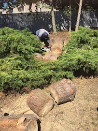 Prof Brothers Landscaping LLC - Photo 8 - Car repair in Kent, WA, Kent