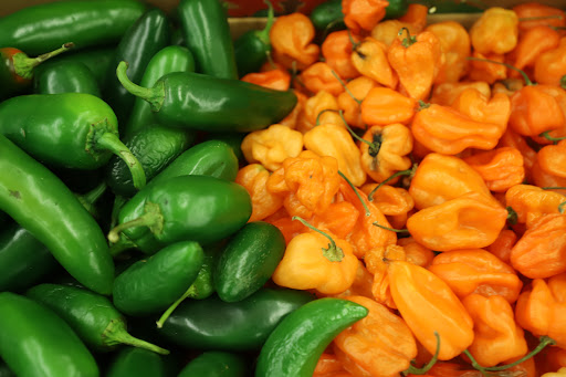 Grocery Store «Food Lion», reviews and photos, 936 Richards Rd, Antioch, TN 37013, USA