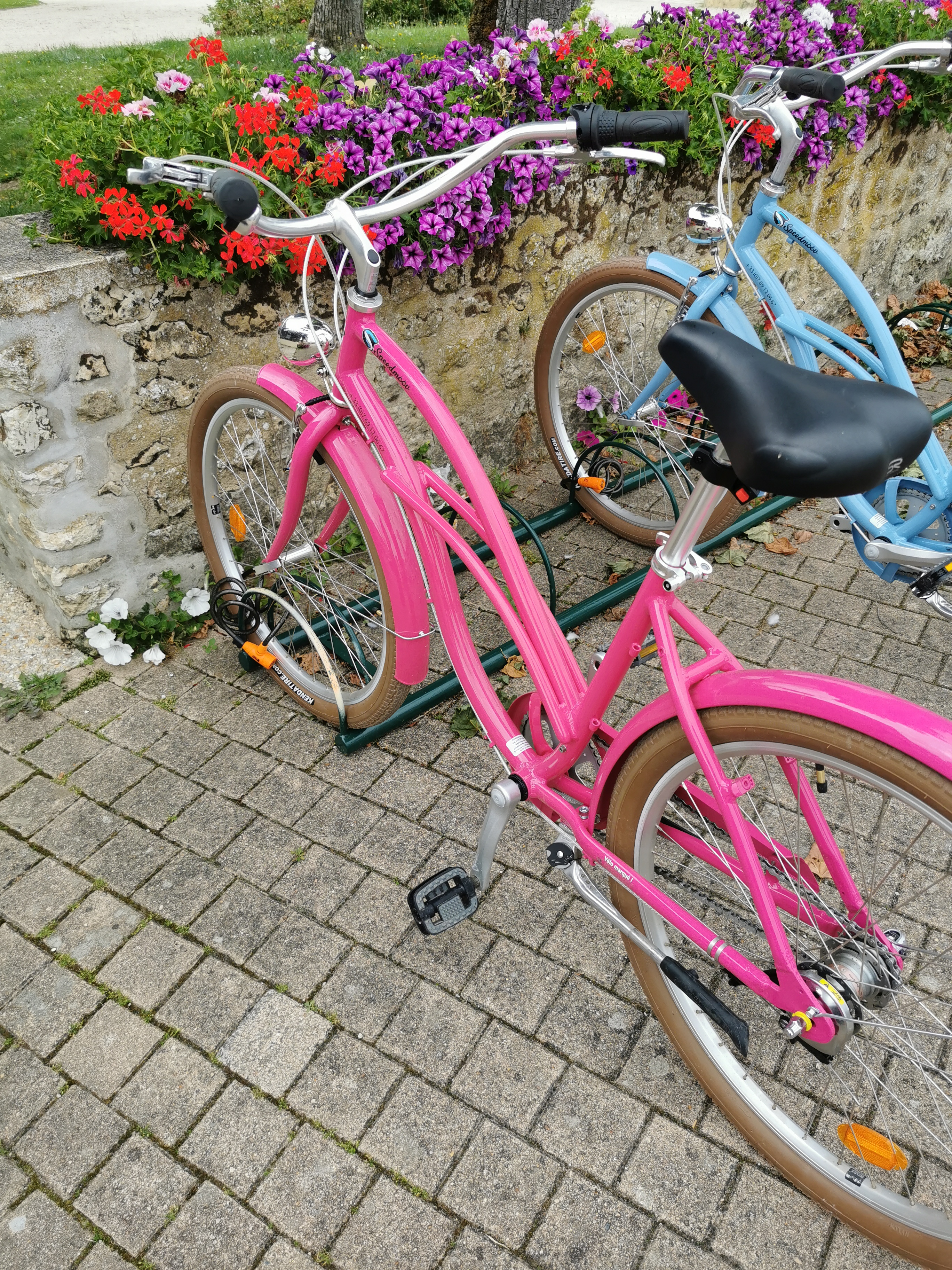 Photo n° 8 de l'avis de Sylvie.e fait le 20/08/2021 à 12:29