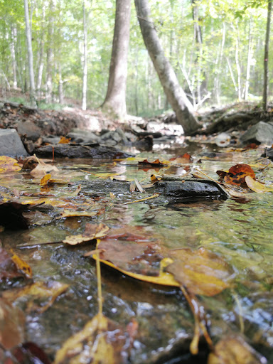 Park «Brookhaven Nature Park», reviews and photos, 5125 Berkeley St, Raleigh, NC 27612, USA