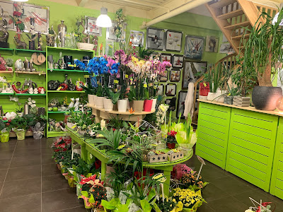 L'Éclosion galerie marchande Super U à Loudéac
