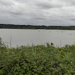 Photo n° 11 de l'avis de Beatrice.l fait le 17/08/2021 à 05:29 pour Réserve Naturelle Nationale du Marais d'Orx à Labenne