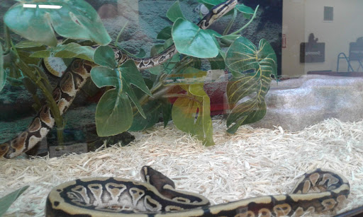 Pet Supply Store «Petco Animal Supplies», reviews and photos, 4950 S 76th St, Greenfield, WI 53220, USA