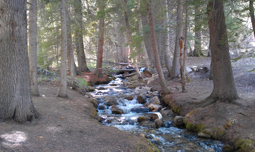 Golf Club «EagleVail Golf Club», reviews and photos, 459 Eagle Drive, Avon, CO 81620, USA