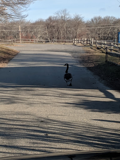 Golf Club «Green Harbor Golf Club», reviews and photos, 624 Webster St, Marshfield, MA 02050, USA