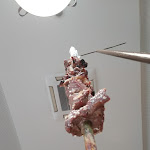 Photo n°4 de l'avis de Alex.l fait le 15/08/2021 à 19:21 sur le  Restaurante Santo António à Estreito de Câmara de Lobos