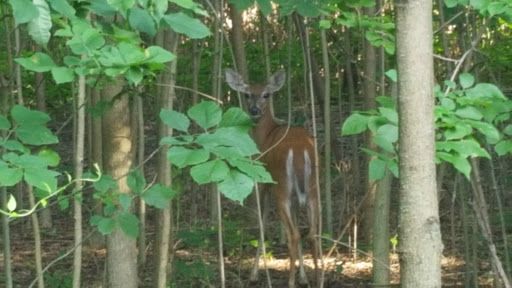 Golf Course «RiverWinds Golf & Tennis Club», reviews and photos, 270 Eagle Point Rd, West Deptford, NJ 08086, USA