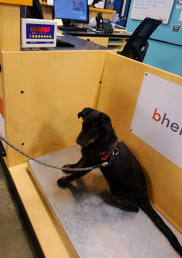 Pet Supply Store «PetSmart», reviews and photos, 8500 N Evanston Ave, Kansas City, MO 64157, USA