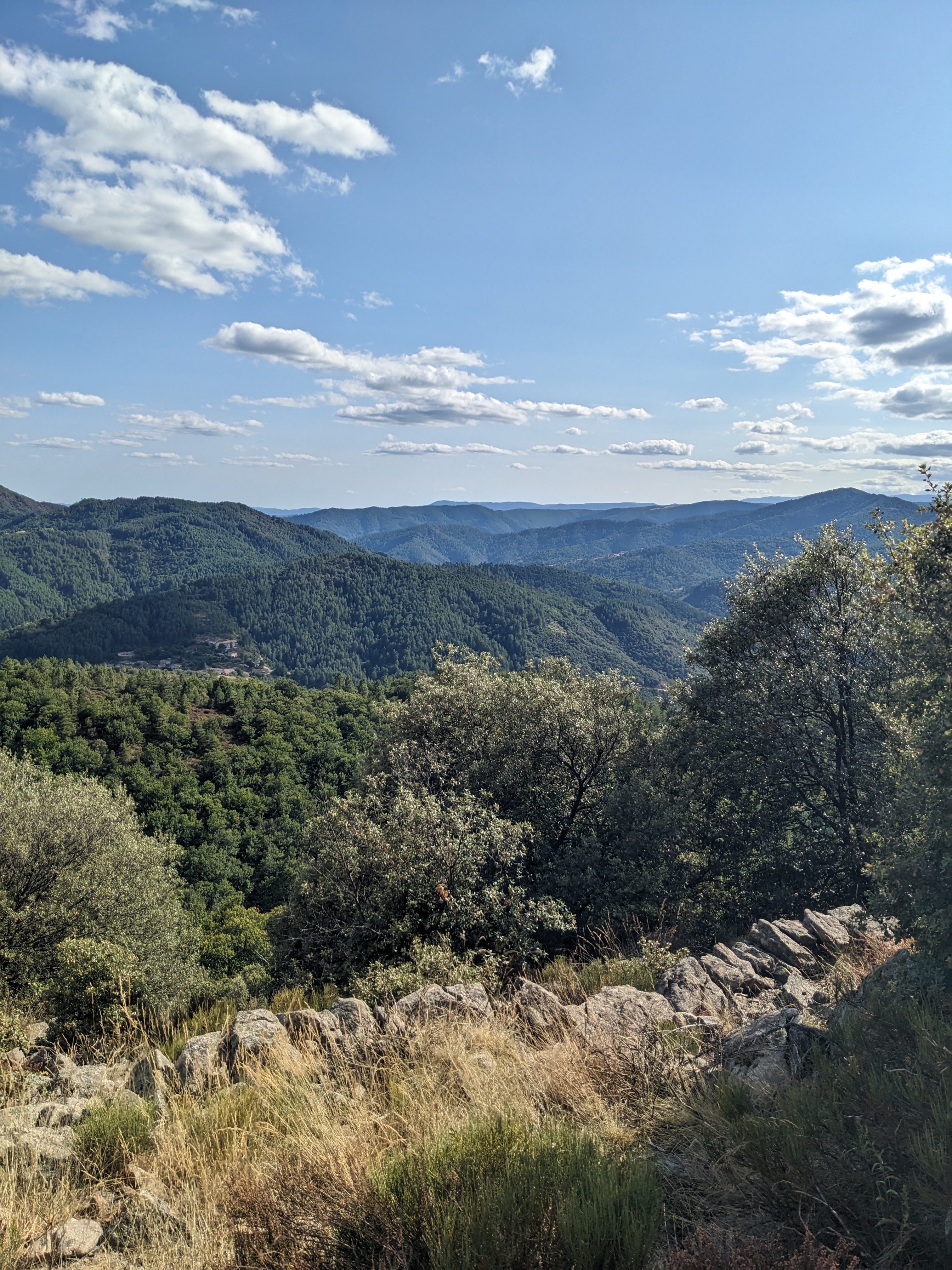 Photo n° 2 de l'avis de dlld.d fait le 10/08/2023 à 10:27