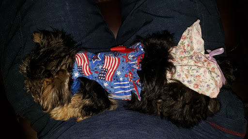 Pet Store «Dream Puppys», reviews and photos, 1461 Westgate Pkwy, Dothan, AL 36303, USA