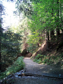 La Grande Cascade du Restaurant Le Christiana à La Tour-d'Auvergne - n°2