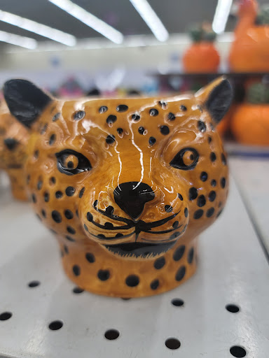 Discount Store «99 Cents Only Stores», reviews and photos, 2888 W Grant Line Rd, Tracy, CA 95304, USA