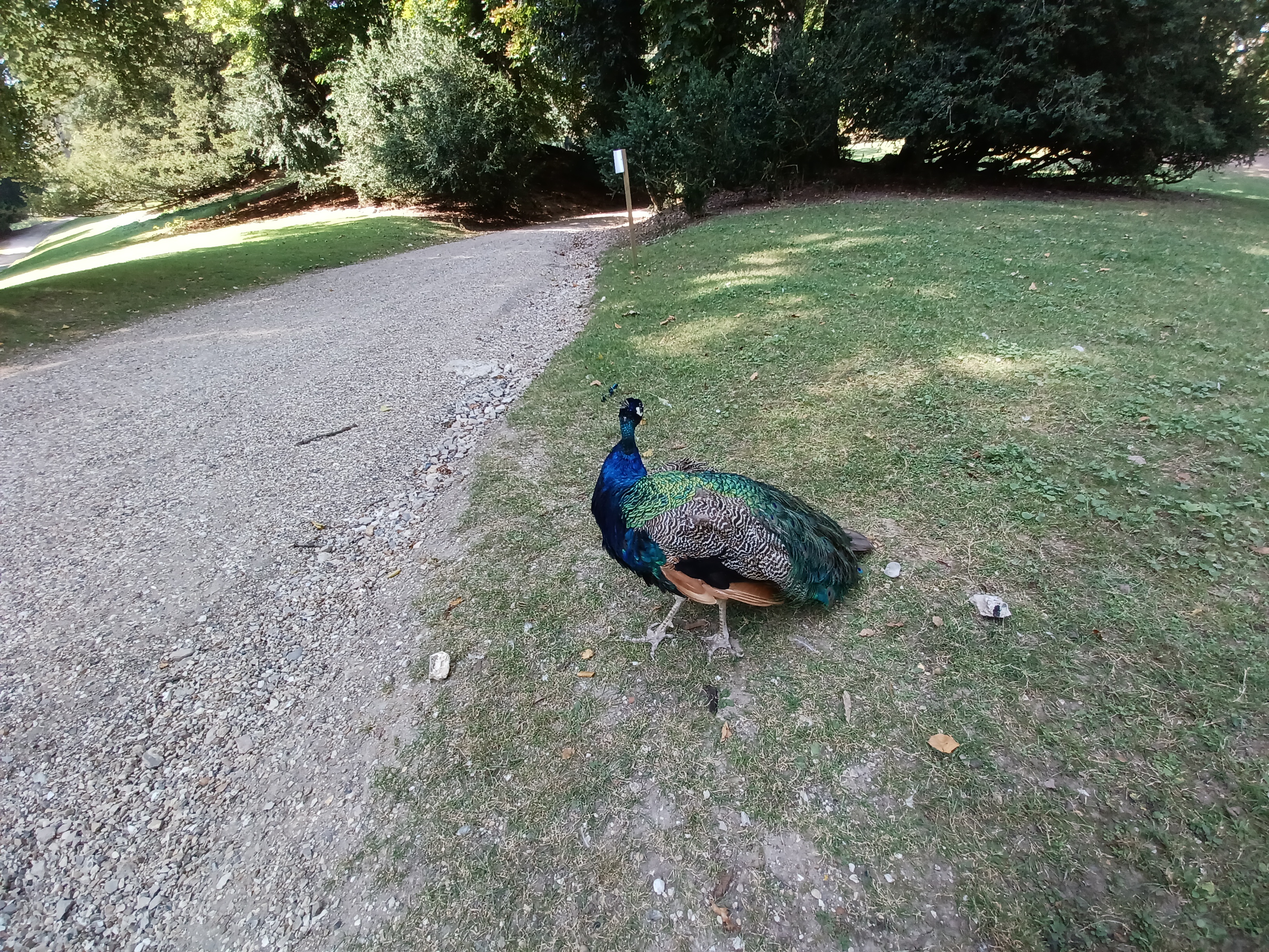 Photo n° 6 de l'avis de Pascale.e fait le 08/09/2021 à 15:53