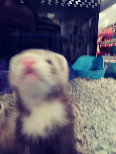 Pet Supply Store «Petco Animal Supplies», reviews and photos, 317 Boardman Poland Rd, Boardman, OH 44512, USA