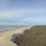 Photo n° 1 de l'avis de ANNIE.N fait le 16/02/2024 à 08:54 pour Phare de La Coubre à La Tremblade