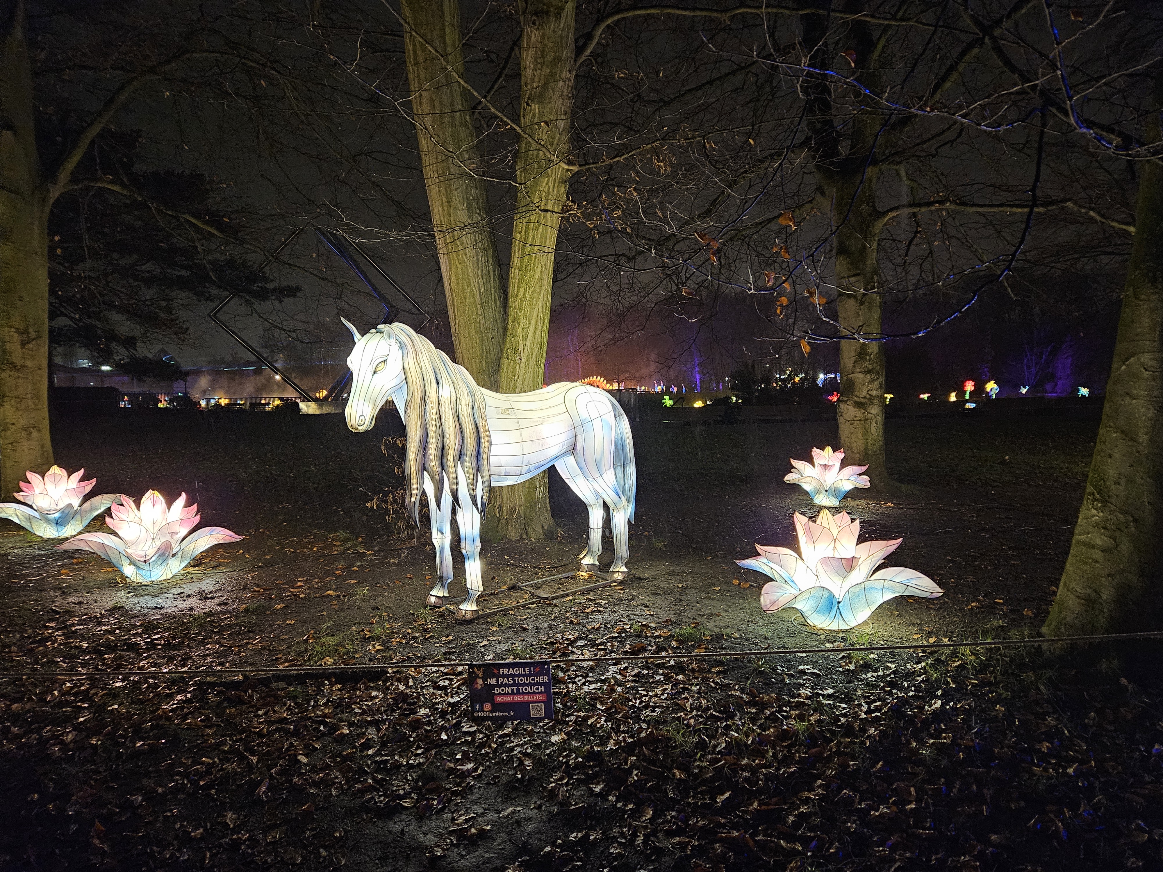 Photo n° 3 de l'avis de Virginie.e fait le 19/12/2023 à 21:09