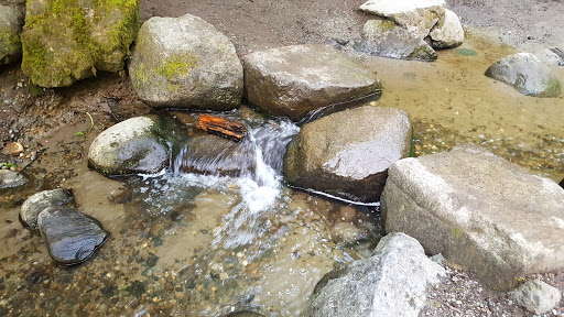 Park «Schmitz Preserve Park», reviews and photos, 5551 SW Admiral Way, Seattle, WA 98116, USA