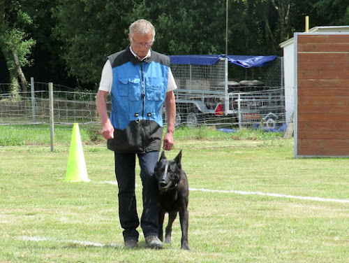 Cercle Cynophile Sportif de Plouvien à Plouvien