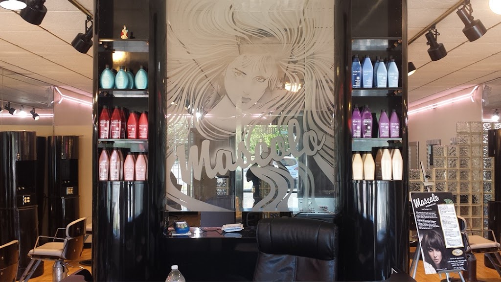 Mascolo International Hair Designs, Inc. 11738
