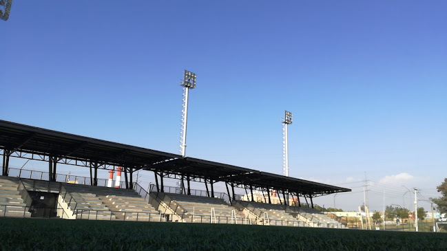 Opiniones de Estadio Esparta en Quinta Normal - Campo de fútbol