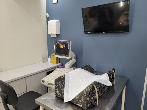 GC.IMAGEM - Serviço de Imagem Veterinária em Presidente Prudente - SP