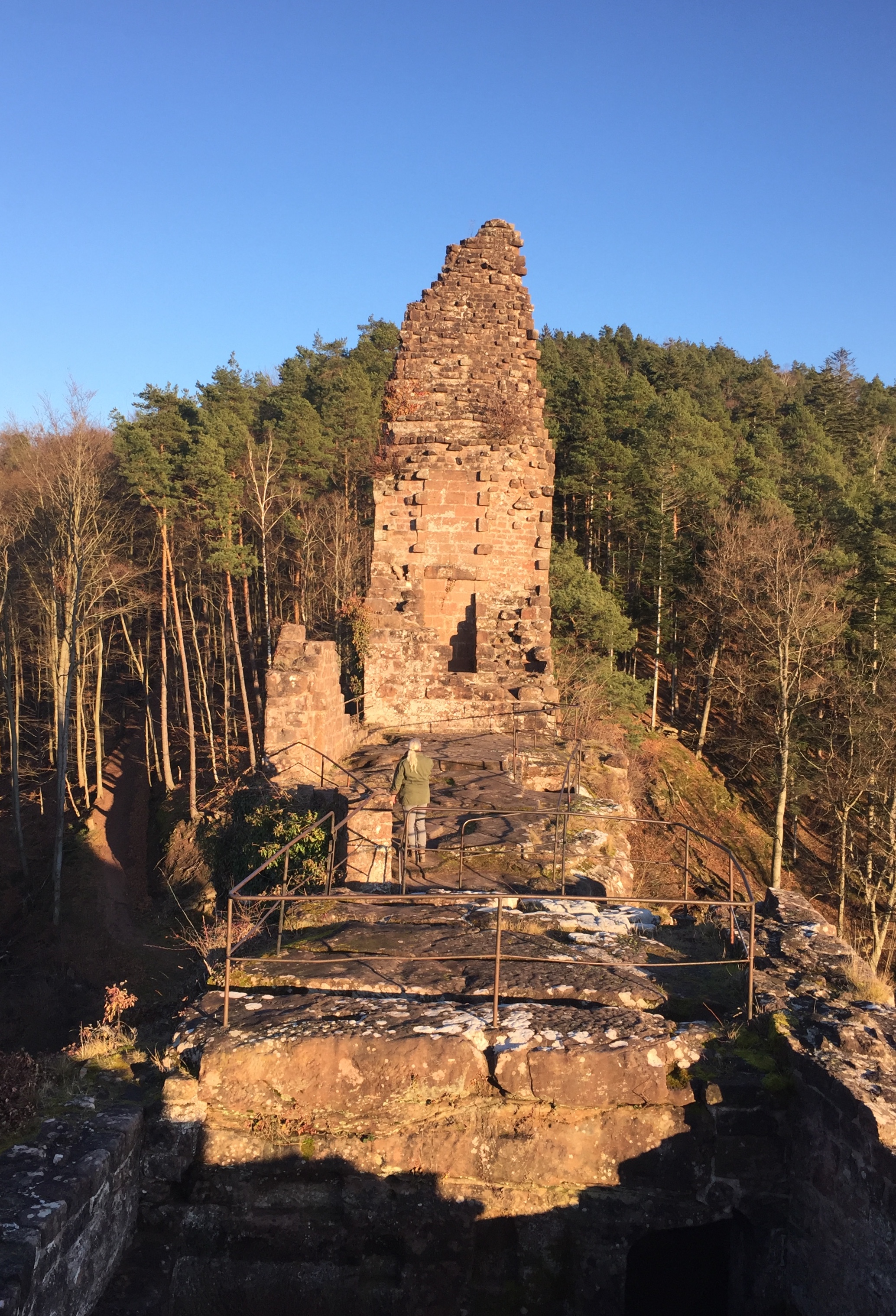 Photo n° 7 de l'avis de Sandra.i fait le 31/12/2020 à 14:00