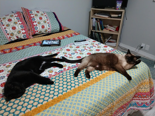 Pet Supply Store «PetSmart», reviews and photos, 2925 Lancaster Dr NE, Salem, OR 97305, USA