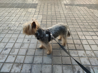 GUAU... POS! Peluquería Canina - Servicios para mascota en Valencia