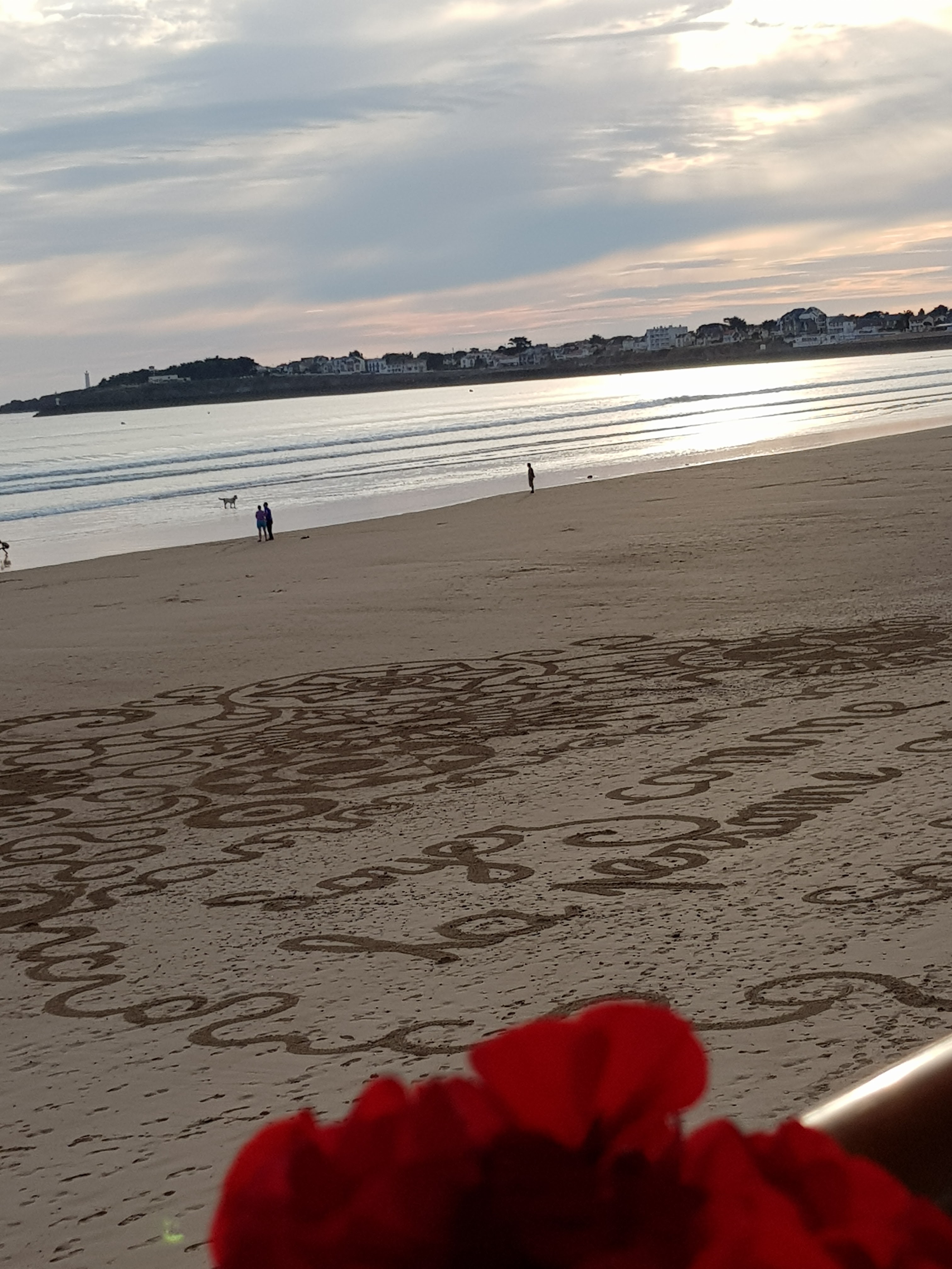 Photo n° 1 de l'avis de Martine.o fait le 08/06/2018 à 22:04
