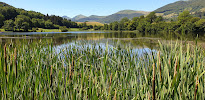 Lac des Cascades du Restaurant Auberge du Lac des Cascades à Cheylade - n°14