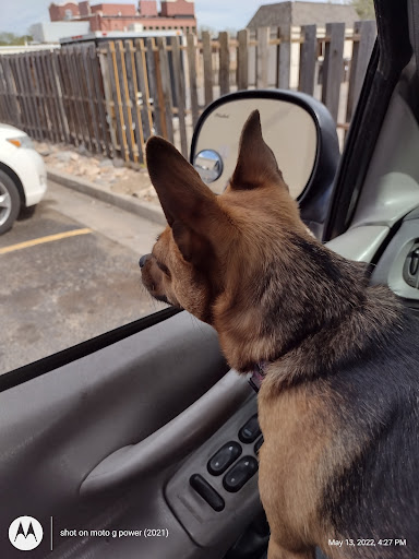 Grocery Store «Safeway», reviews and photos, 3325 28th St, Boulder, CO 80302, USA