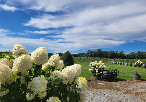 Winery «Laurel Lake Vineyards», reviews and photos, 3165 Main Rd, Laurel, NY 11948, USA