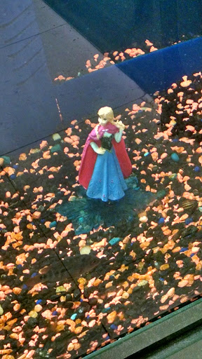 Pet Supply Store «Pet Supplies Plus», reviews and photos, 2057 S Telegraph Rd, Bloomfield Hills, MI 48302, USA