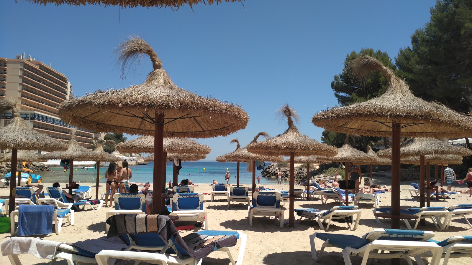 Playa Cala Vinyes'in fotoğrafı - rahatlamayı sevenler arasında popüler bir yer