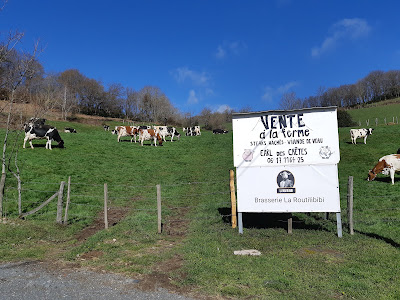 Earl Des Crêtes à Yzeron