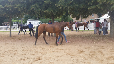 Hippodrome de Cluny à Cluny