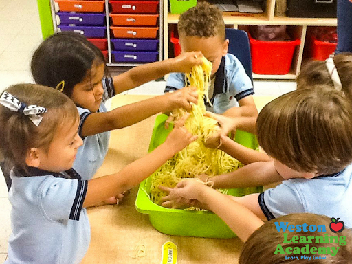 Preschool «Weston Learning Academy», reviews and photos, 16602 Saddle Club Rd, Weston, FL 33326, USA