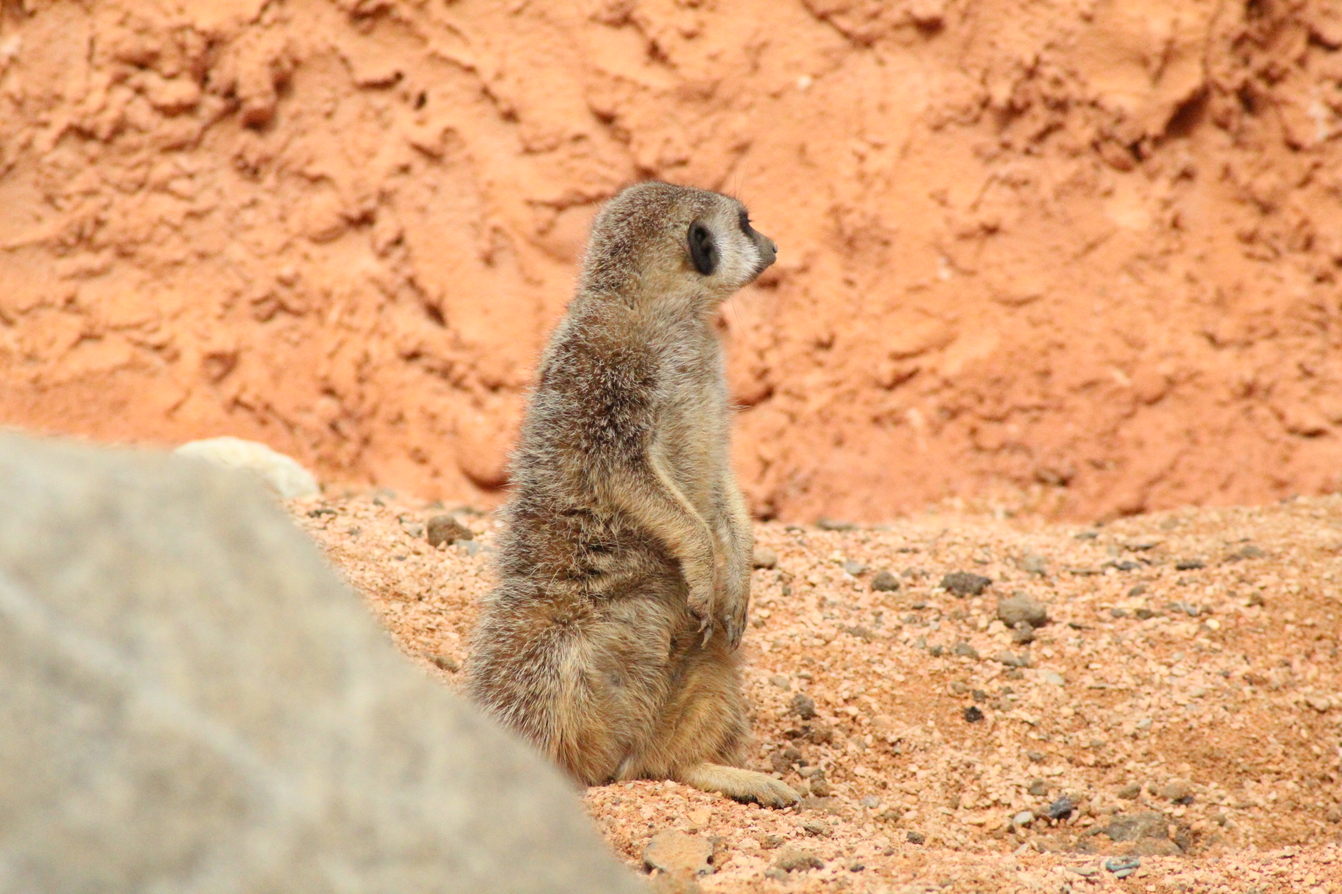 Photo n° 35 de l'avis de David.i fait le 18/11/2019 à 20:29