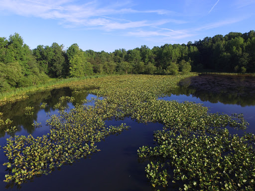 Nature Preserve «Governor Bridge Natural Area», reviews and photos, 7600 Governor Bridge Rd, Bowie, MD 20716, USA